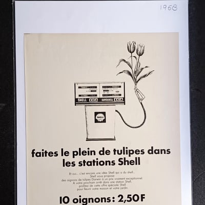 Img 20260317 185351